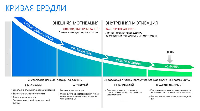 Кривая Брэдли