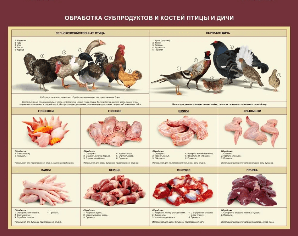 Стенд «Обработка субпродуктов и костей птицы и дичи» 