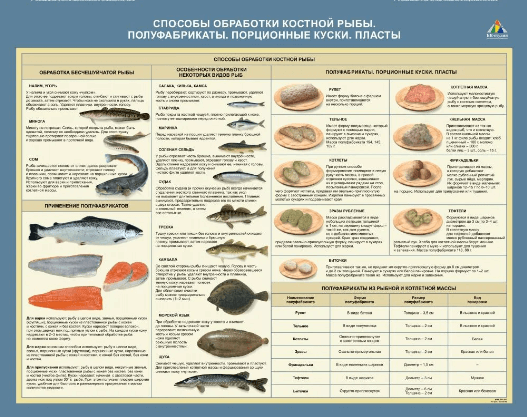 Стенд «Способы обработки костной рыбы. Полуфабрикаты. Порционные куски. Пласты» 