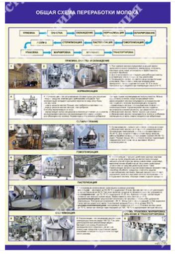 Стенд на баннерной основе «Общая схема переработки молока» 