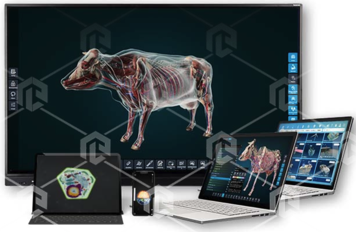 Электронные образовательные ресурсы, в том числе интерактивные плакаты, сборник интерактивных заданий, интерактивное наглядное пособие, электронные плакаты и тесты 