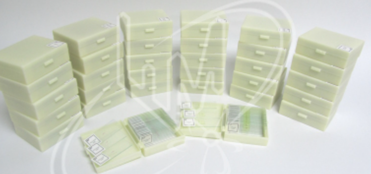 Комплект микропрепаратов по зоологии (профильный уровень) 