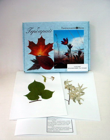 Гербарий «Медоносные растения» 