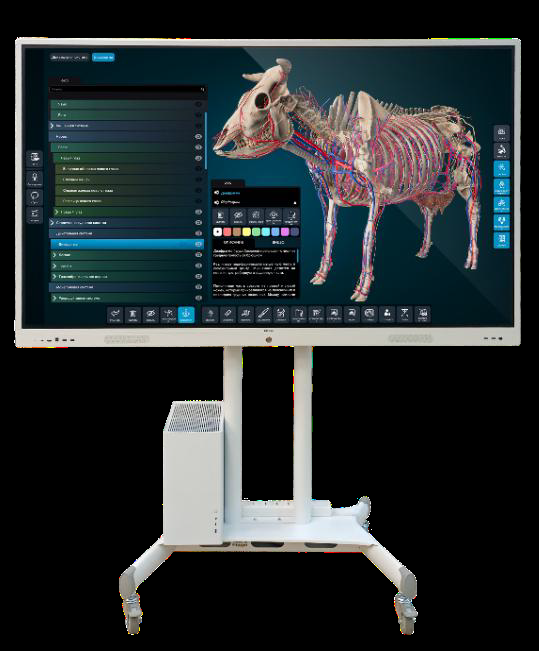 Виртуальный учебный комплекс «Интерактивный трехмерный атлас анатомии животных» 