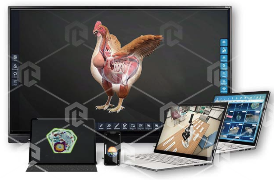 Электронные образовательные ресурсы, в том числе интерактивные плакаты, сборник интерактивных заданий, интерактивное наглядное пособие, электронные плакаты и тесты 