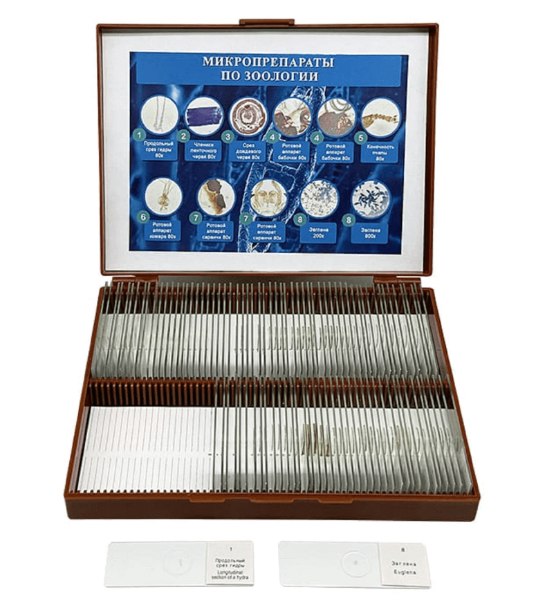 Комплект микропрепаратов по зоологии (профильный уровень) 