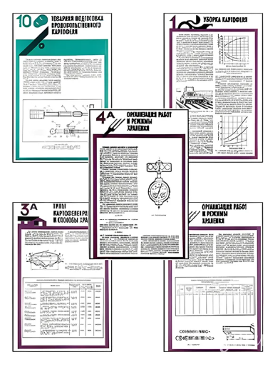 Плакаты «Хранение картофеля при интенсивной технологии выращивания»  