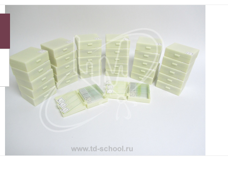 Комплект микропрепаратов по зоологии (профильный уровень) 