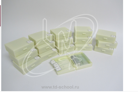 Комплект микропрепаратов по общей биологии (профильный уровень) 