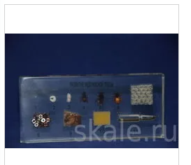 Коллекция «Развитие медоносной пчелы» 