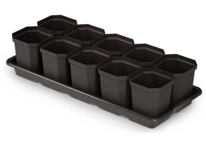 Набор для рассады (10 стаканов+ поддон) 