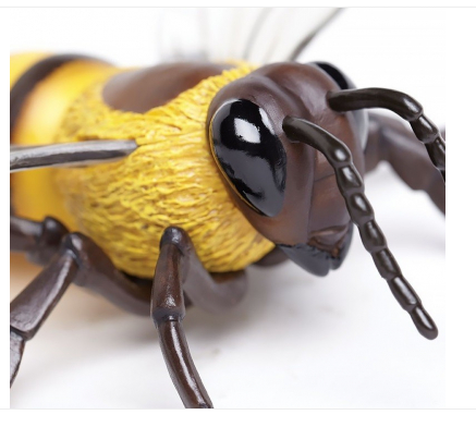 Макет рабочей пчелы 