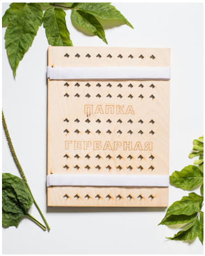 Папка гербарная 