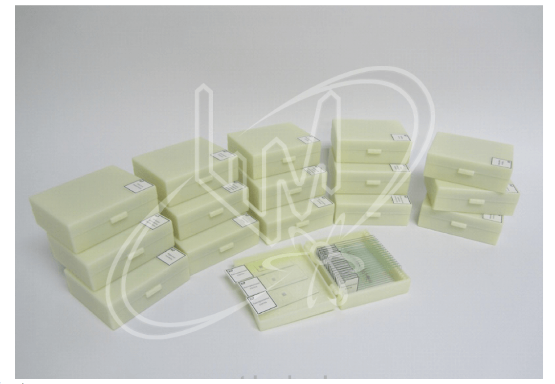 Комплект микропрепаратов по общей биологии (профильный уровень) 