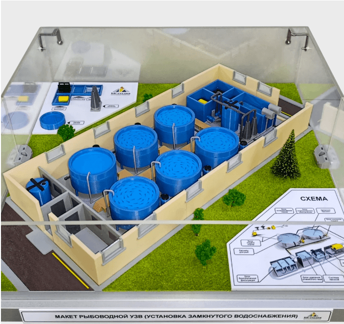 Макет рыбоводной УЗВ (установка замкнутого водоснабжения) 