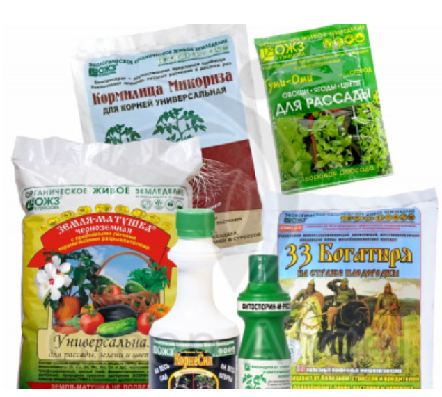 Комплект для обучения навыкам ухода и выращивания комнатных растений 