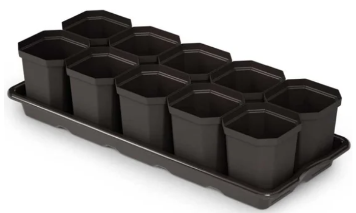 Набор для рассады (10 стаканов+ поддон) 