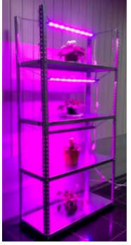 Стеллаж для растений с подсветкой 