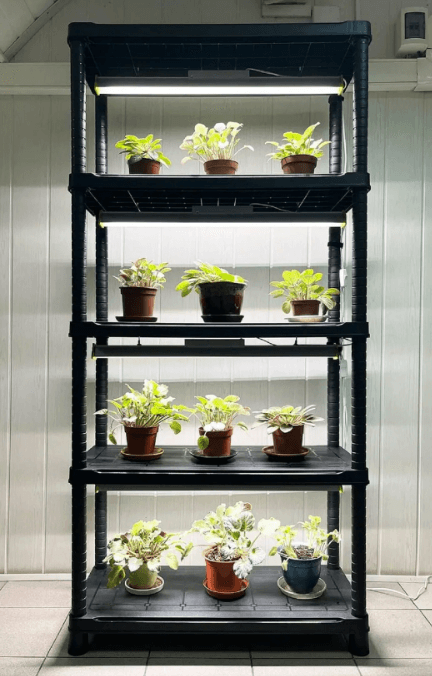 Стеллаж для растений с подсветкой 