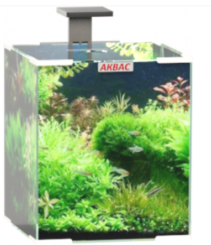 Аквариум для содержания декоративных рыб и пресноводных беспозвоночных 