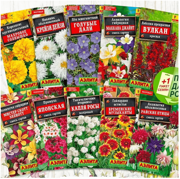 Семена цветов (комплект) 