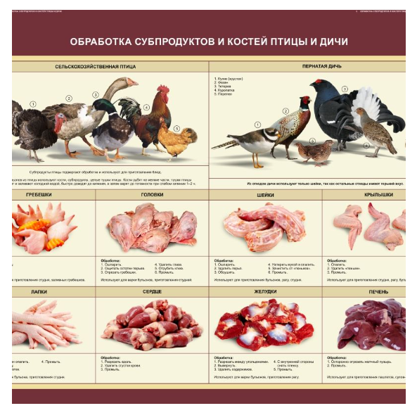 Стенд «Обработка субпродуктов и костей птицы и дичи» 