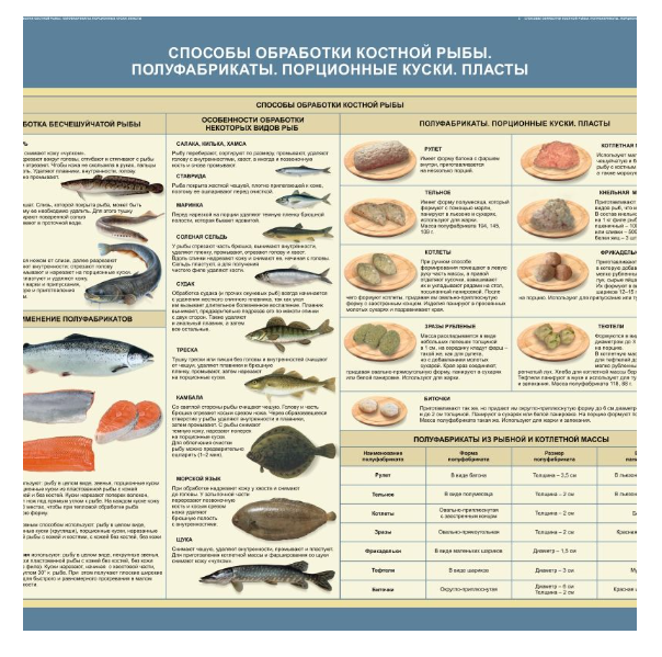 Стенд «Способы обработки костной рыбы. Полуфабрикаты. Порционные куски. Пласты» 
