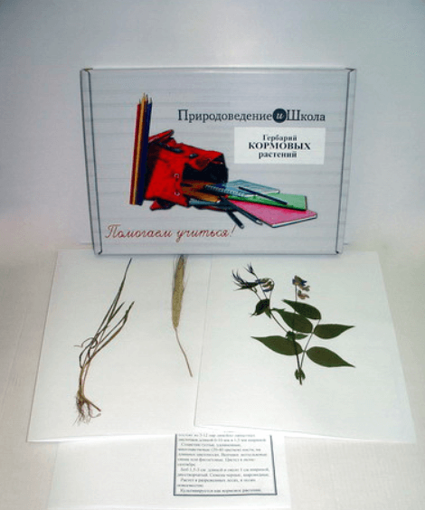 Гербарий «Кормовые растения» 