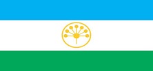 main-bg
