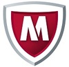 main-bg