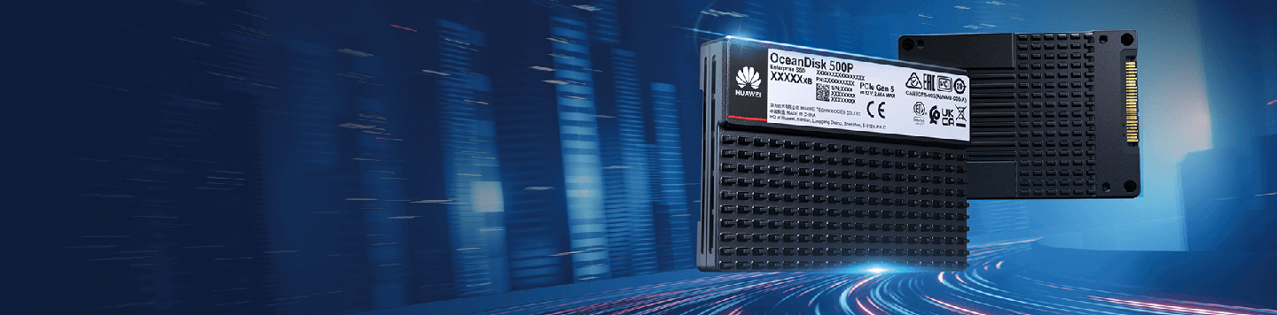 OceanDisk 500P